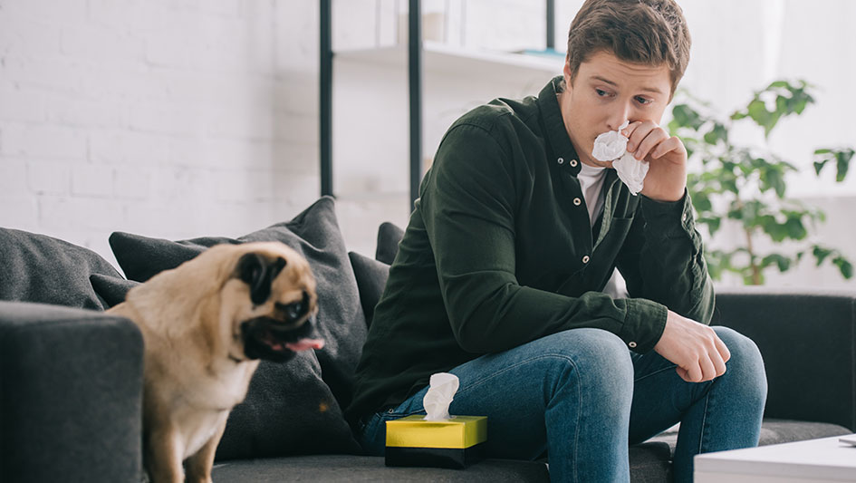 Getting an air purifier is one of the top approaches to boost your home’s indoor air quality. Find out more about the three top products. 